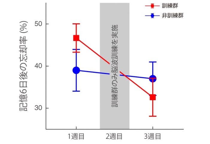 わずか3日間の脳波の訓練で長期記憶の向上に成功！ | 研究成果